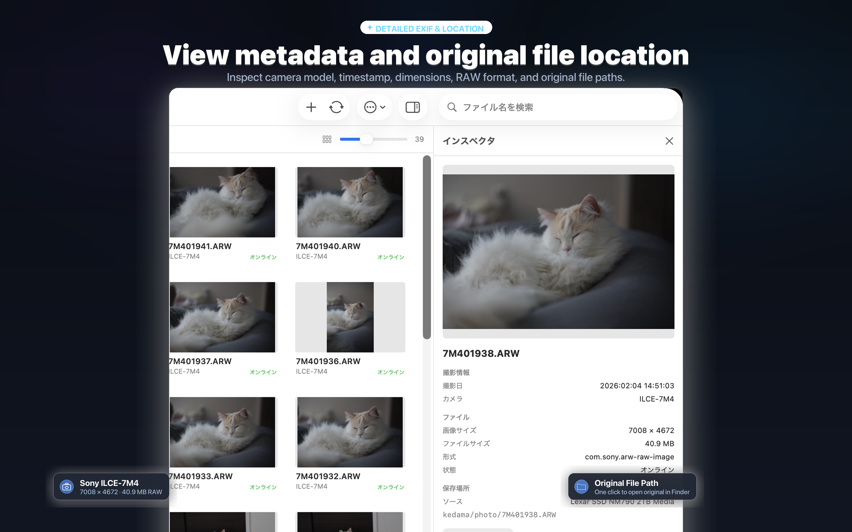 View metadata and original file location